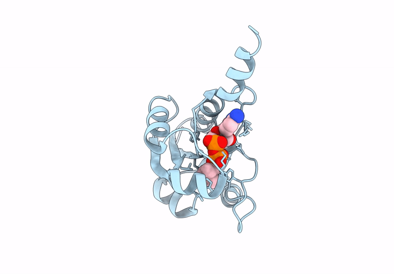 9HSG image