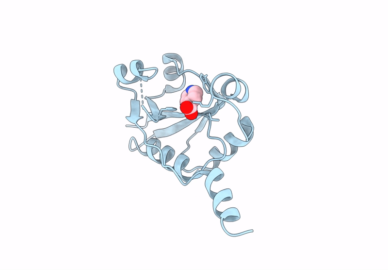 9HSL image