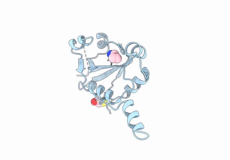 9HSN image