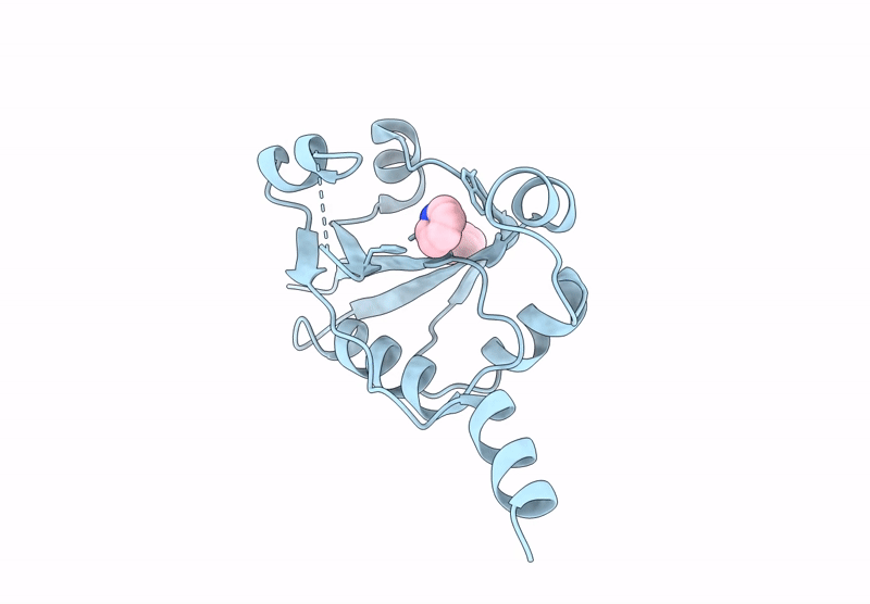 9HSO image