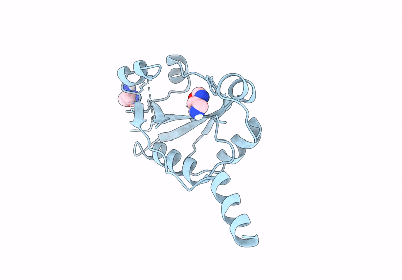 9HSP image