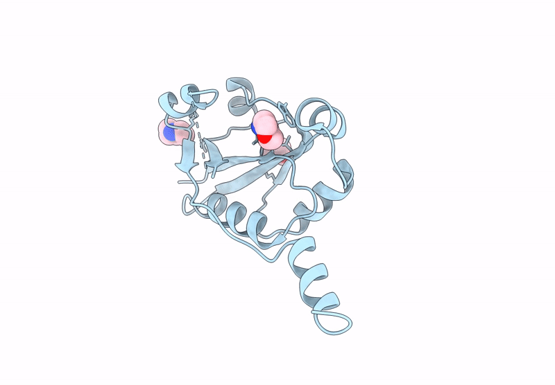 9HSS image