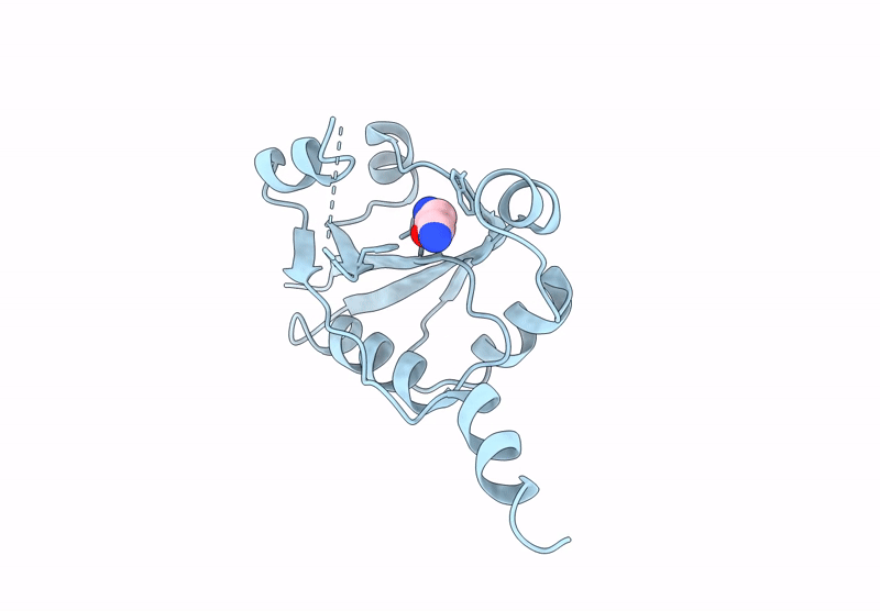 9HSU image
