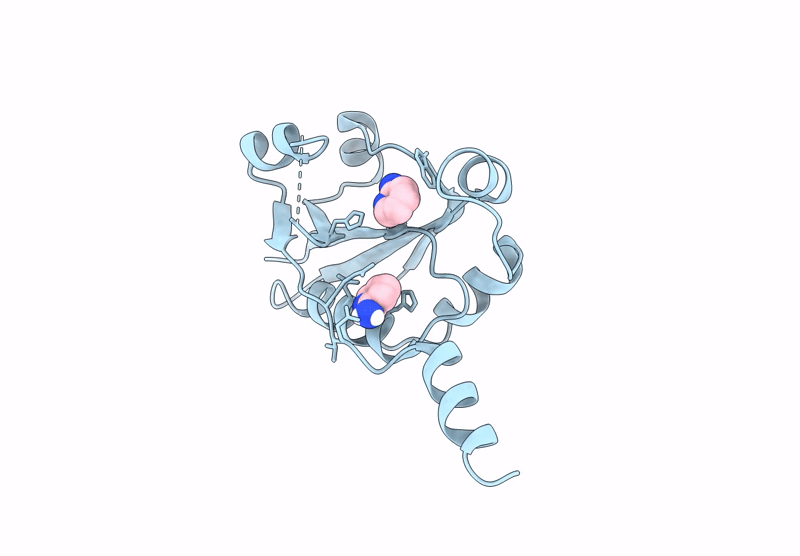 9HSX image
