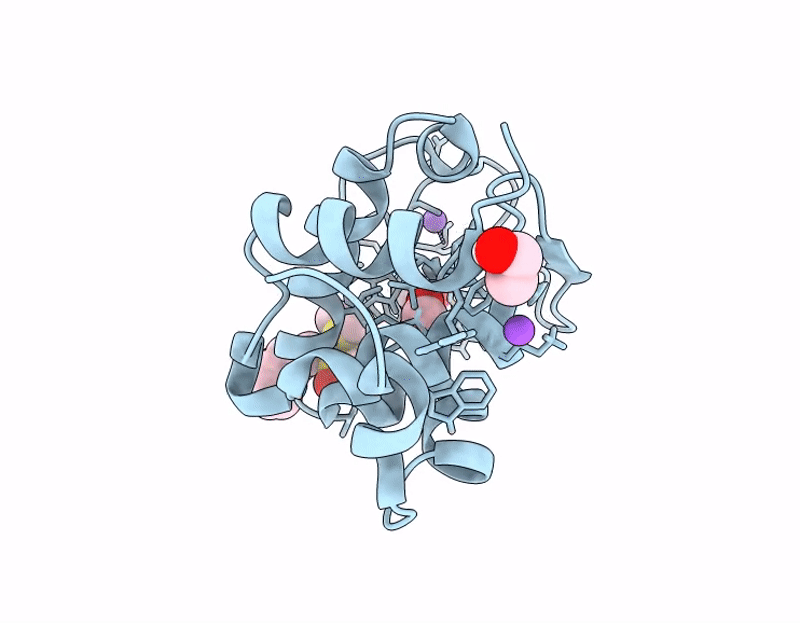 9HTI image