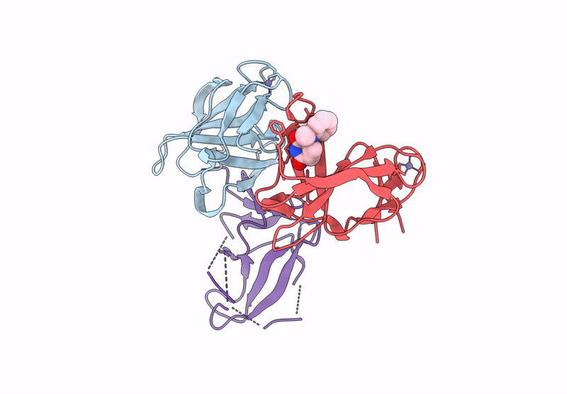 9HTP image
