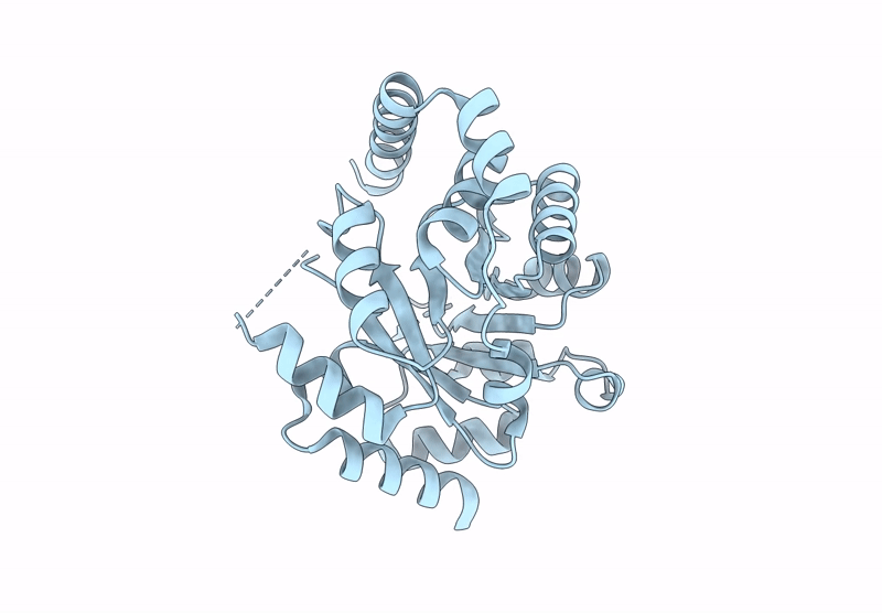 9HVG image