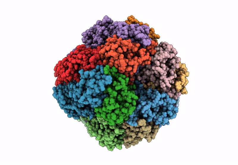 9HVM image