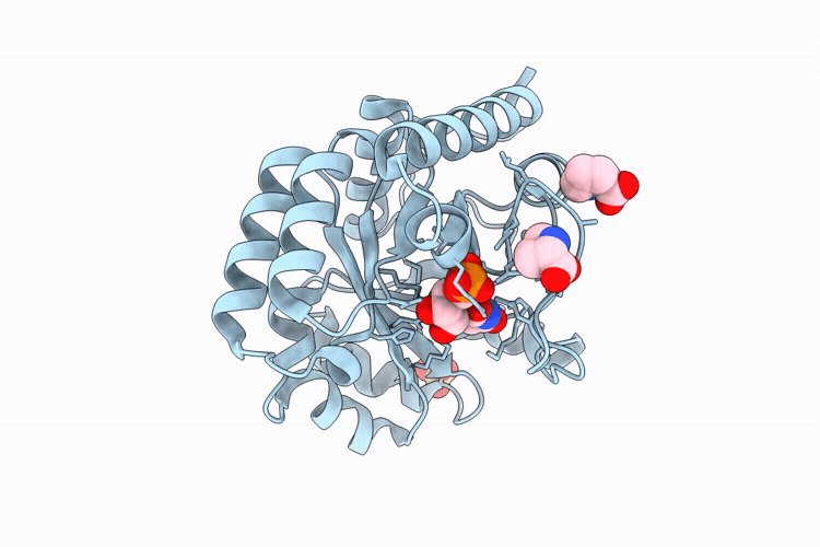 9HVS image