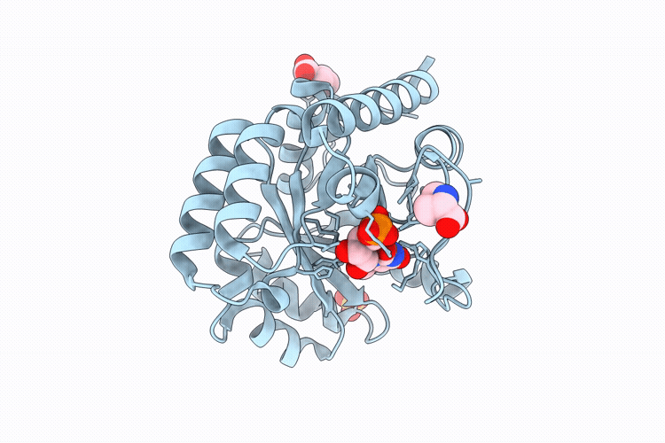 9HVT image