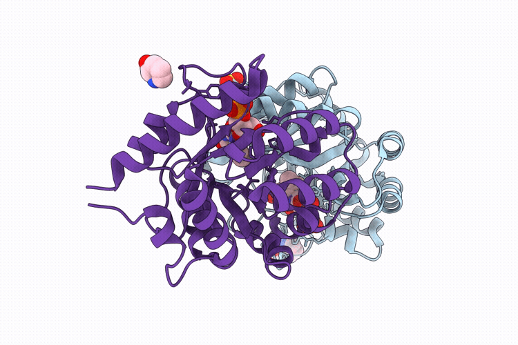 9HVU image