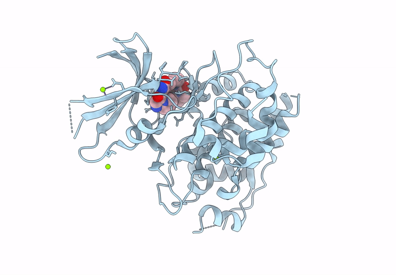 9HVX image