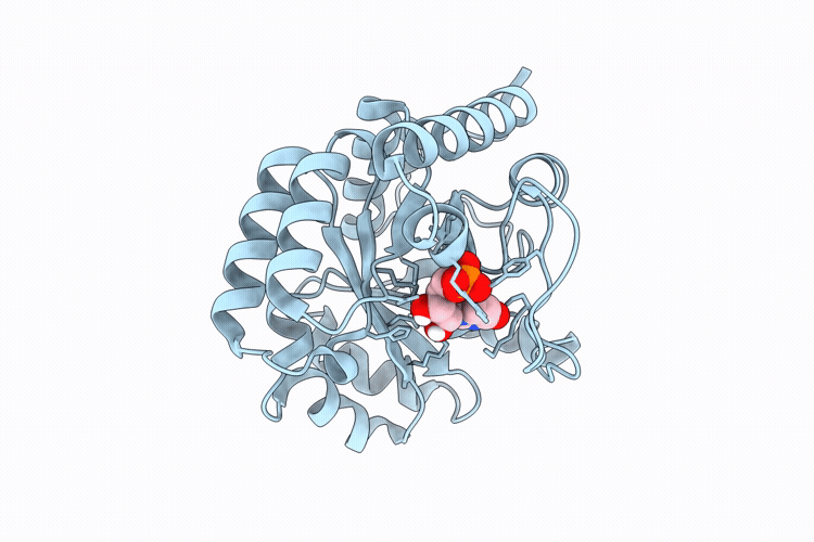 9HW1 image