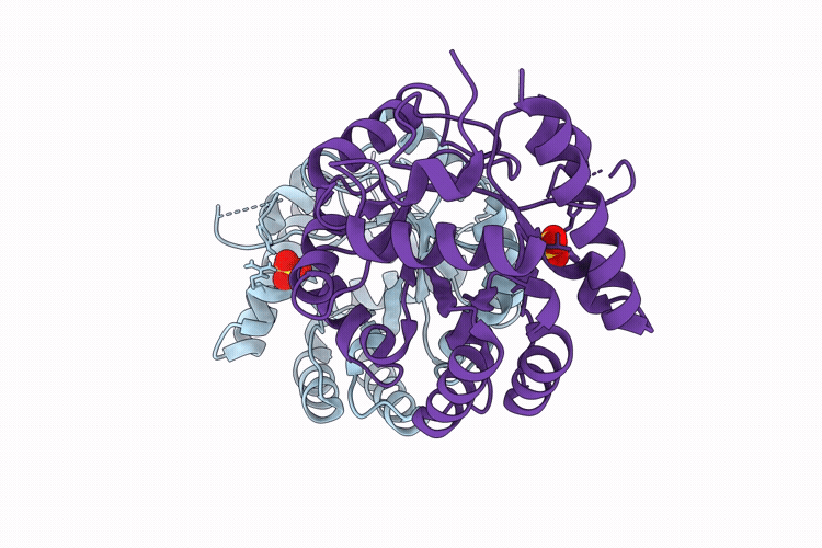 9HW3 image