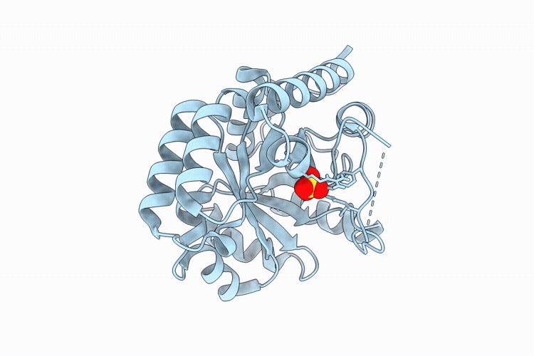 9HW4 image