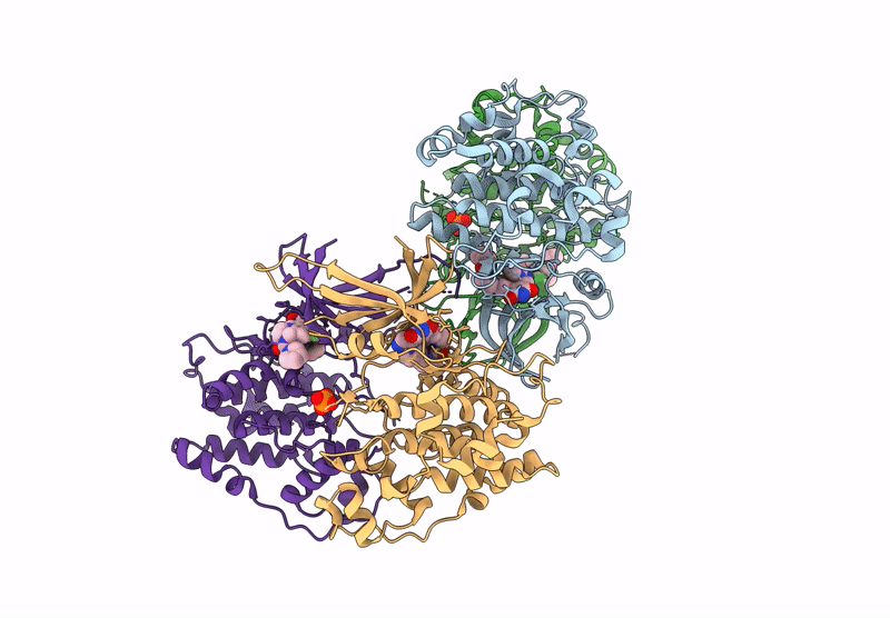 9HW6 image