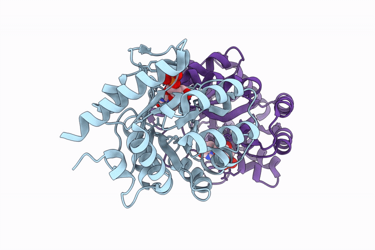 9HW8 image