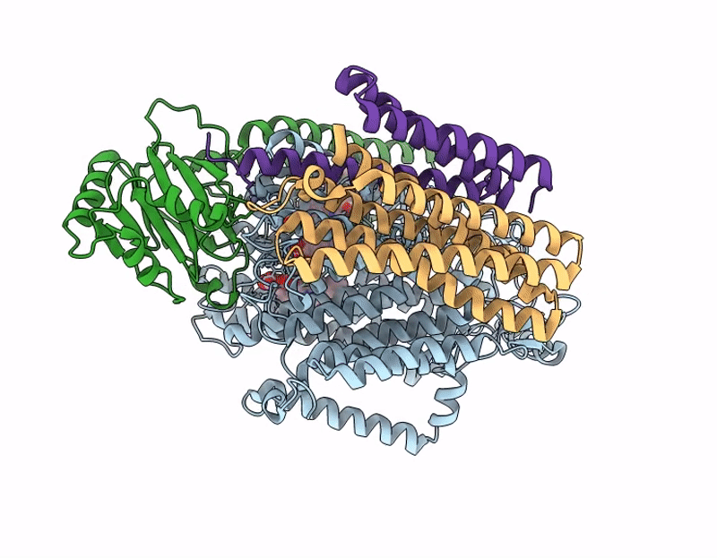 9HWK image