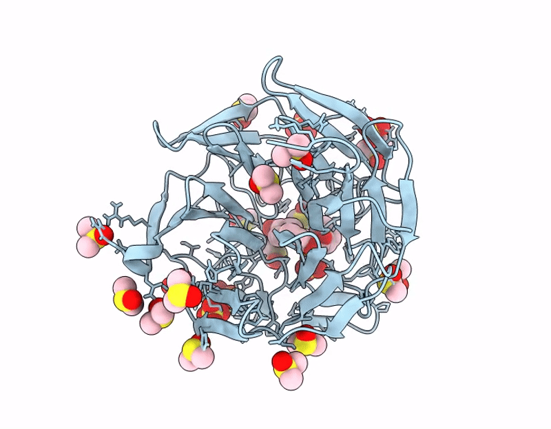 9HWR image