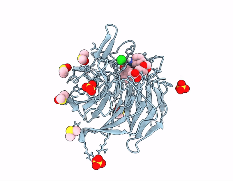 9HWV image