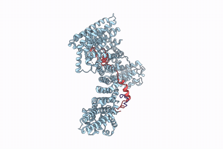 9HX9 image