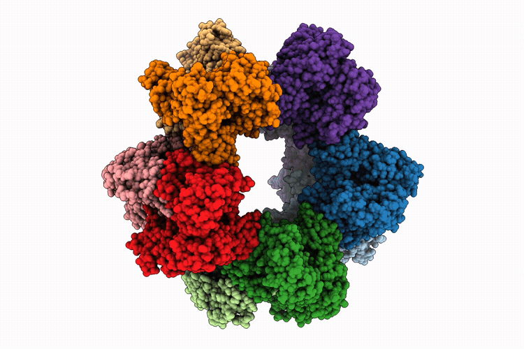 9HXB image