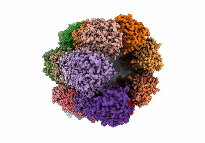 9HXC image