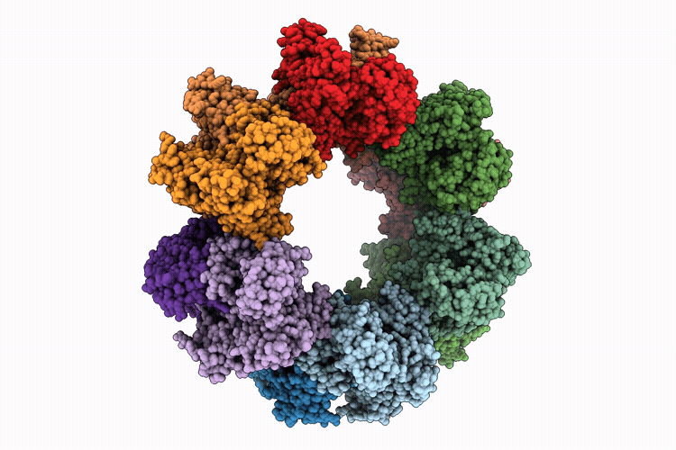 9HXJ image
