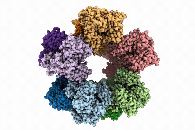 9HXN image