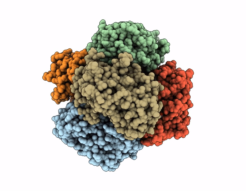 9HXX image