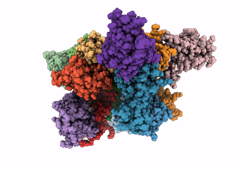 9HYB image