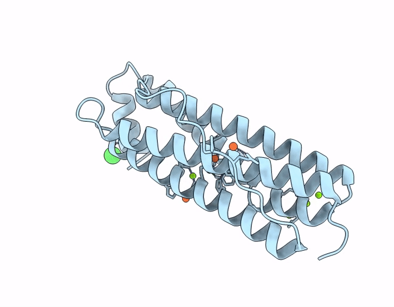 9HYC image