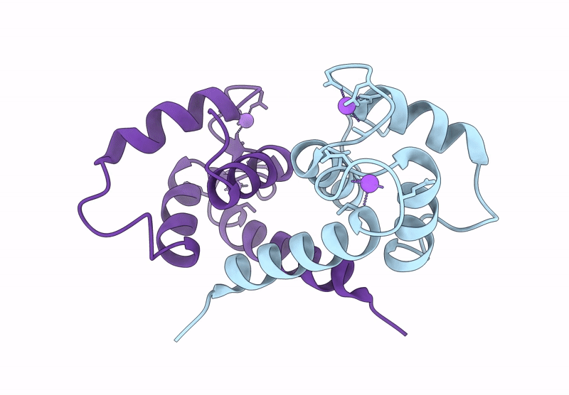 9HYG image