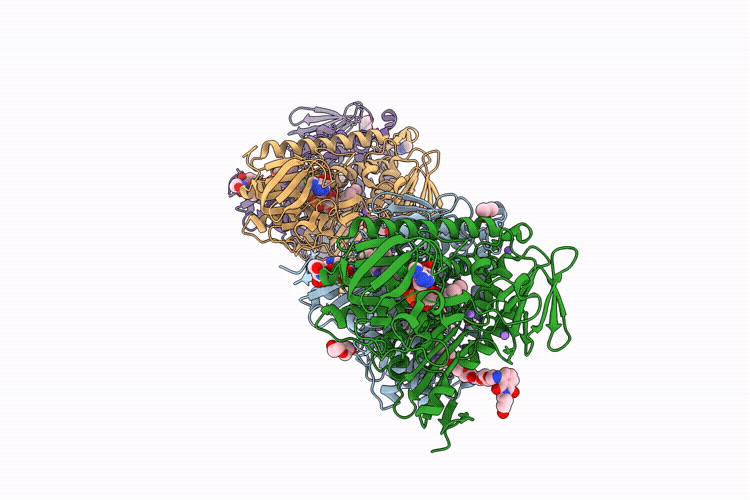 9HYL image