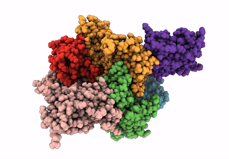 9HYN image
