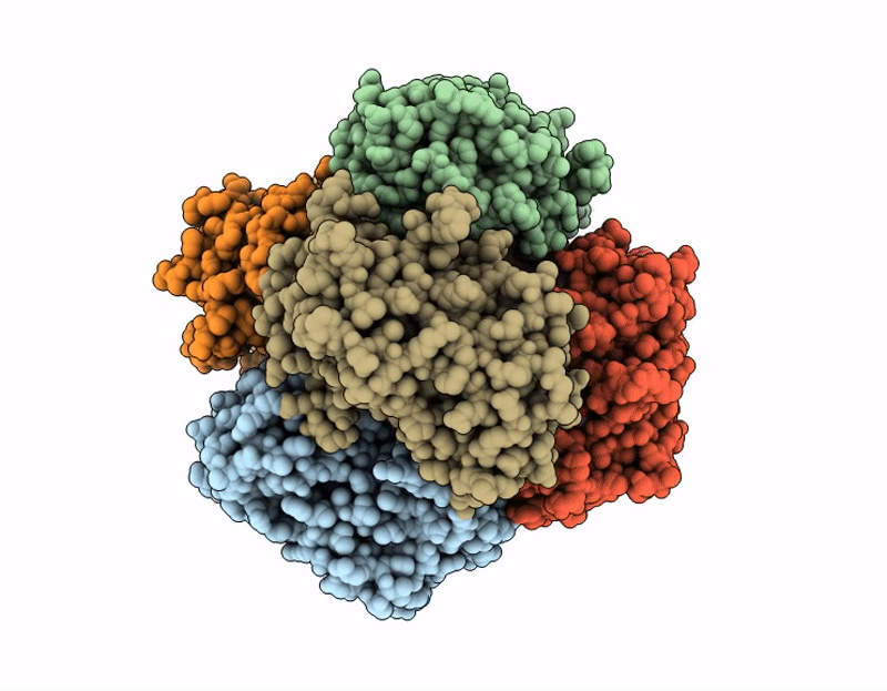 9HYV image