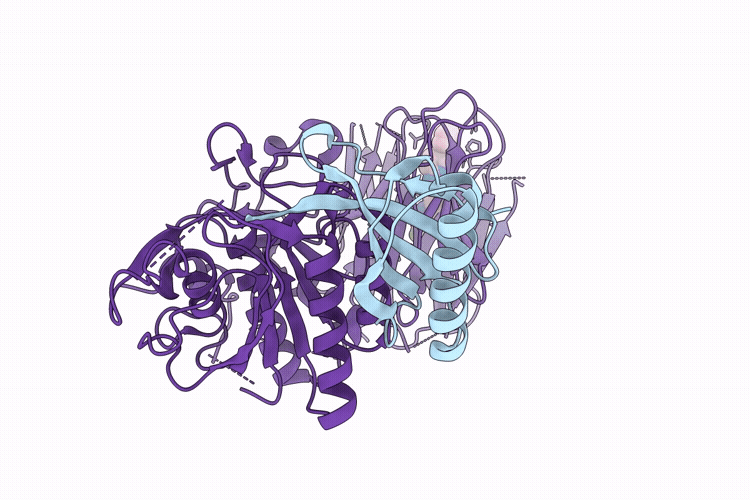 9HZ3 image