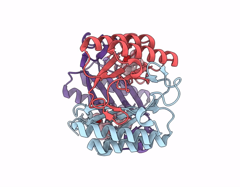 9HZI image