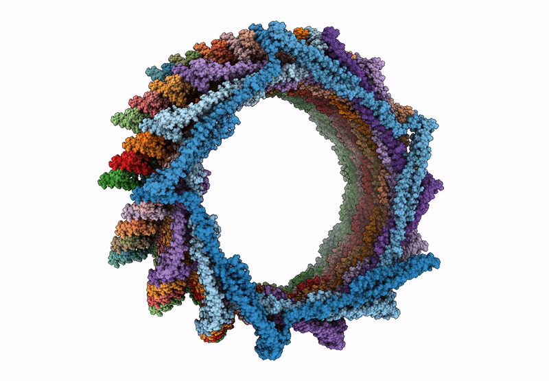 9HZO image