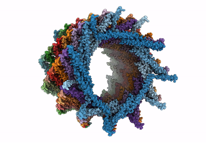 9HZT image