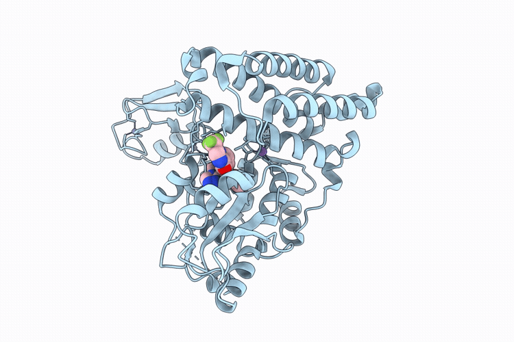 9I0B image