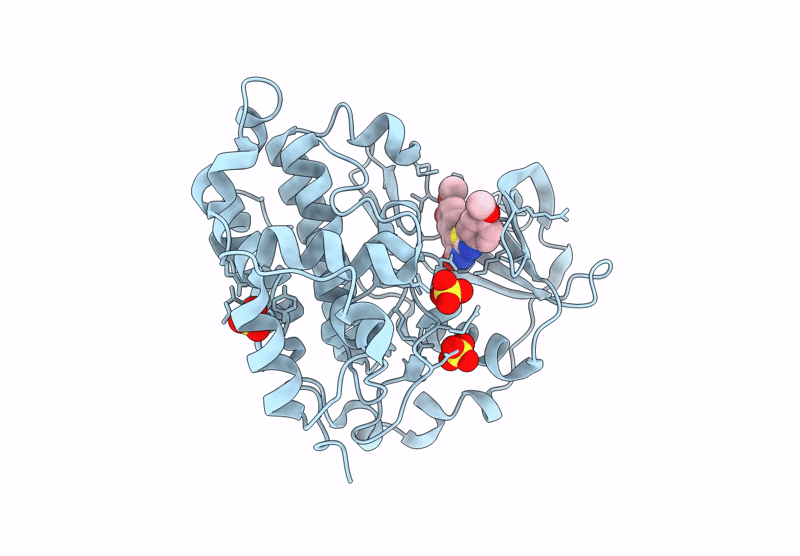 9I12 image