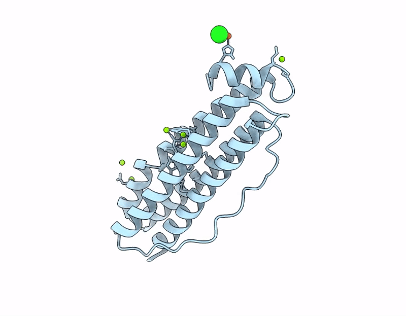 9I1B image