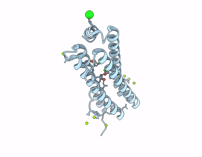 9I1C image