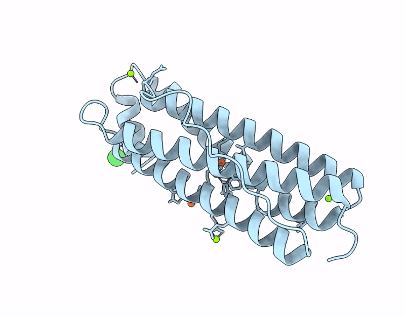 9I1D image