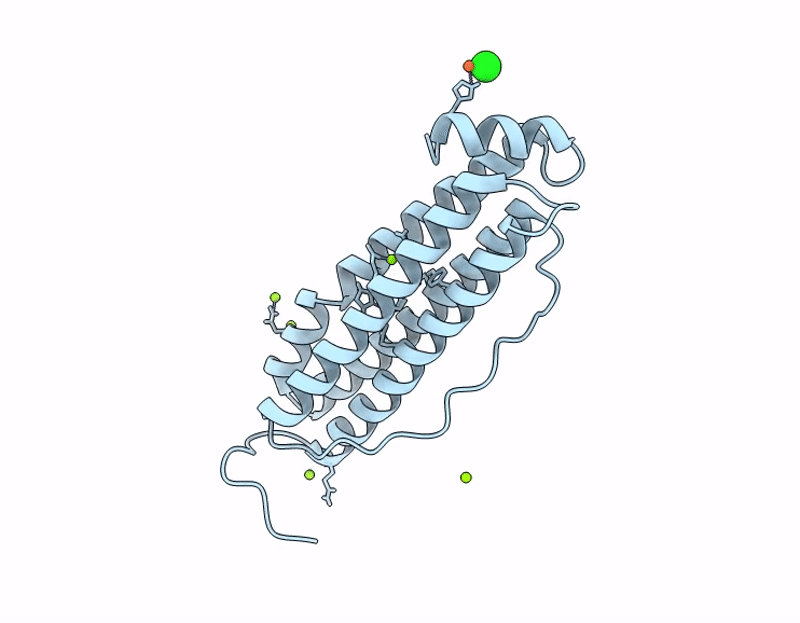 9I1E image