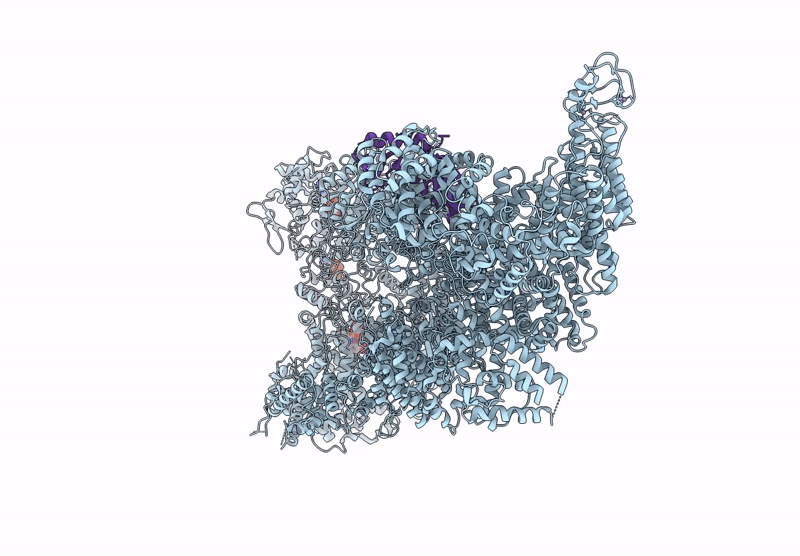 9I1J image