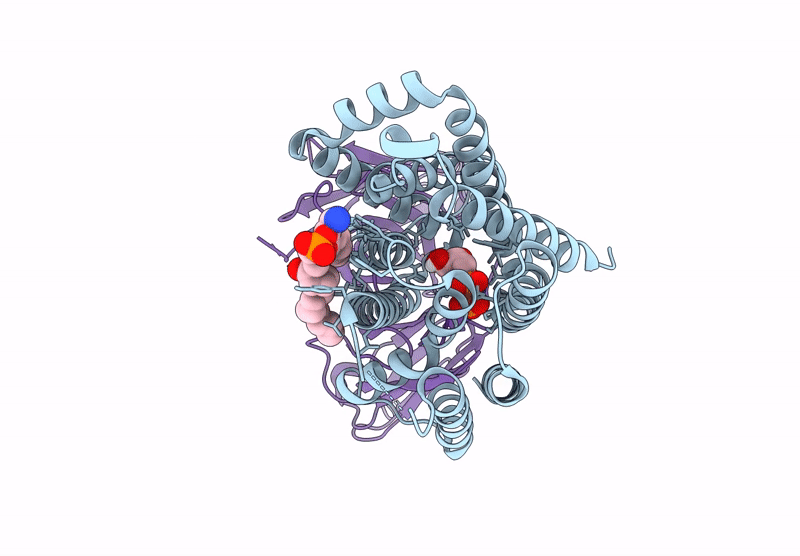 9I20 image