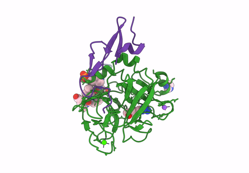 9I24 image