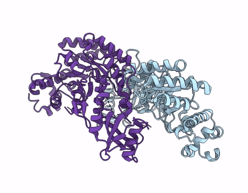 9I26 image